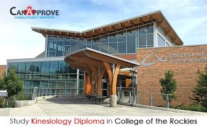 Kinesiology Diploma