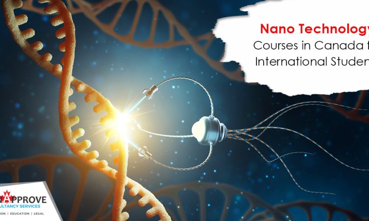 Nano Technology Courses in Canada Dec 24