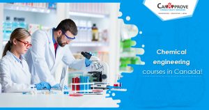 chemical engineering courses Dec 17