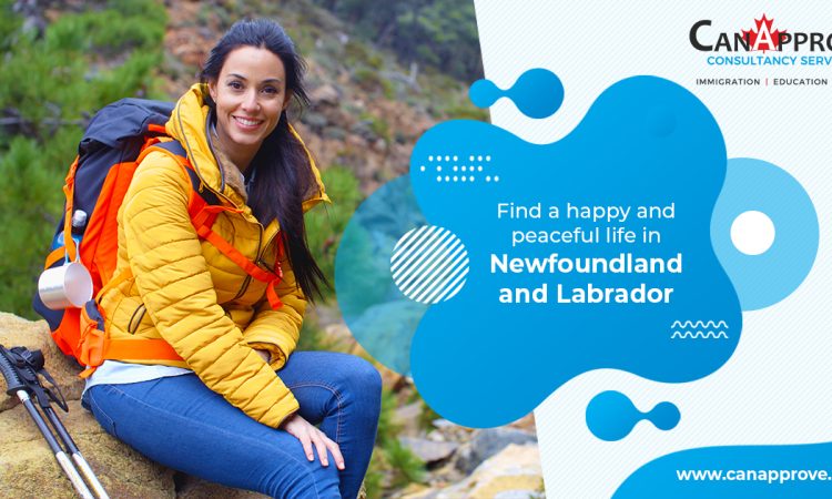 amazing life in Newfoundland and Labrador