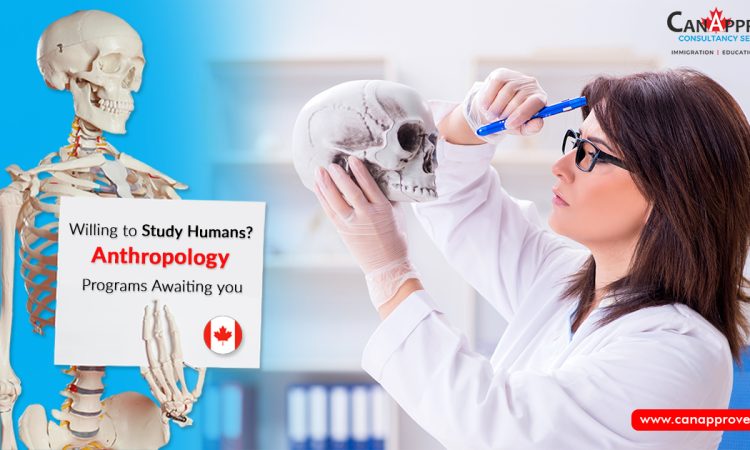 Anthropology