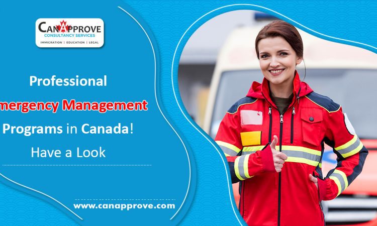 Emergency Management Programs Feb 11