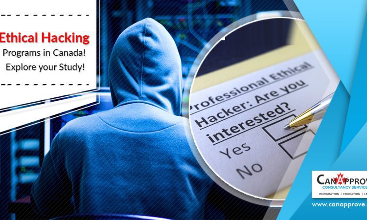 Ethical Hacking programs in Canada, to your vision!