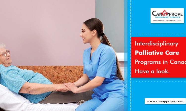 Palliative Care Programs in Canada Feb 08
