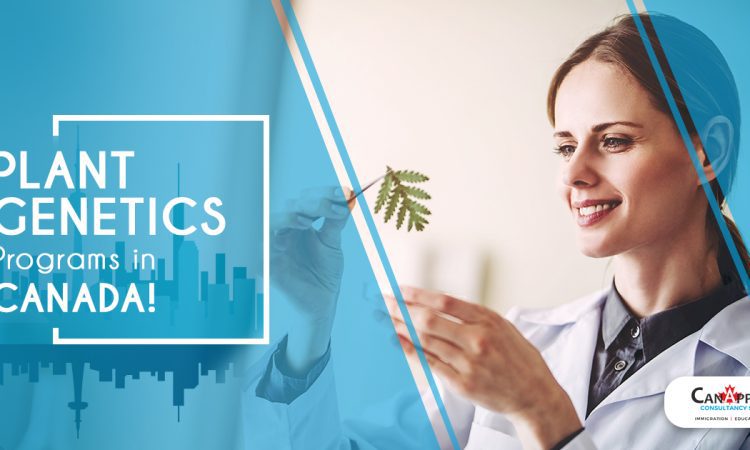 Plant Genetics Programs in Canada Mar 10