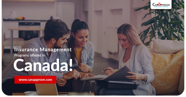 Insurance Management