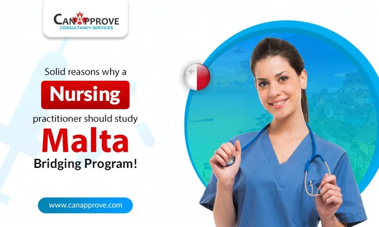 Bridging Program
