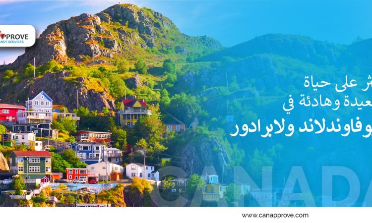 نيوفاوندلاند ولابرادور