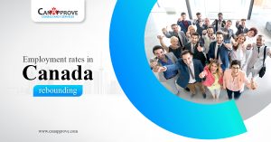 Canada employment rates