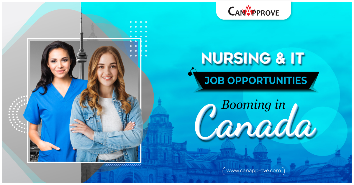 Nursing and IT jobs