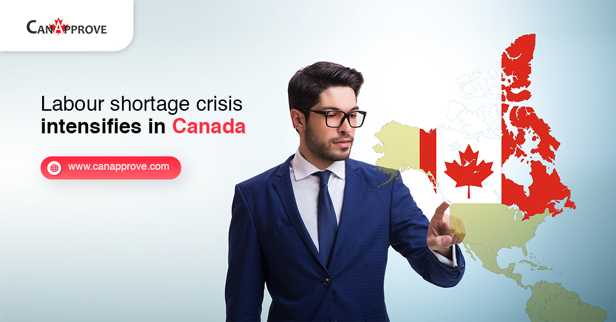 Labour shortage crisis