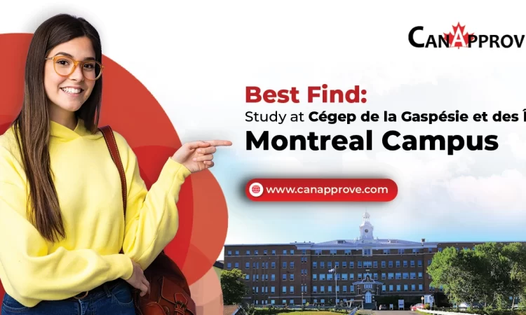 Best Find 2023: Study at Cégep de la Gaspésie et des Îles - Montreal Campus
