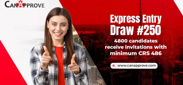4800 immigration candidates